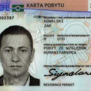 avatar-Karta-pobitu-u-Polshchi-Zobrazhennya-z-saytu-www_gov__pl_-1-1024x646